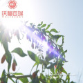 /msite/products/detail/productid/56619424/id/539928.html